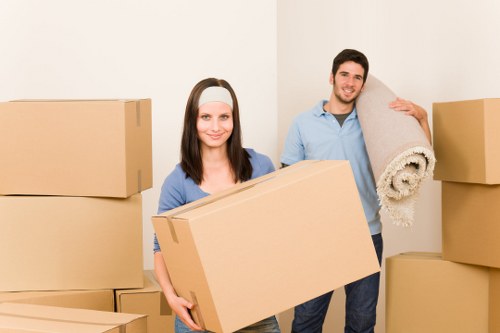 Driver helping with a Greenwich flat move